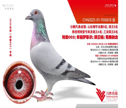 ����003��Ѫ 221��ƽ��-1936618