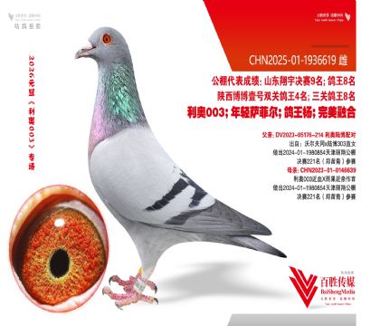 ����003��Ѫ 221��ƽ��-1936619