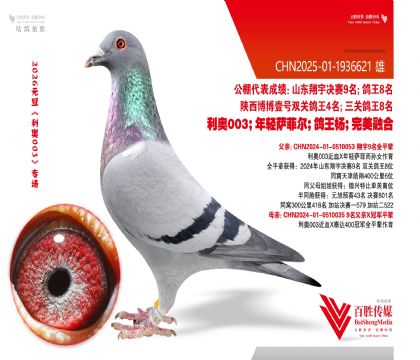 ����9����Ѫ-1936621