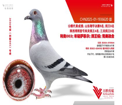 ���˸���7ƽ��-1936620