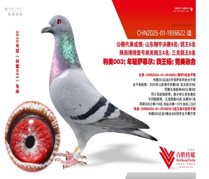 ����9����Ѫ-1936622