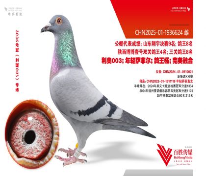 �������ƶ���Ѫ-1936624