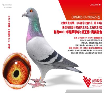 6�����ھ�-1936625