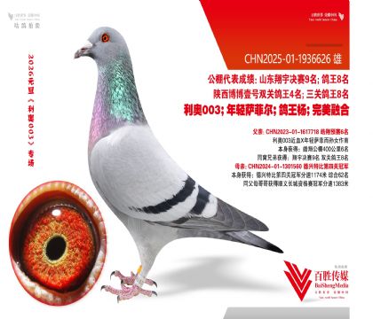 6�����ھ�-1936626