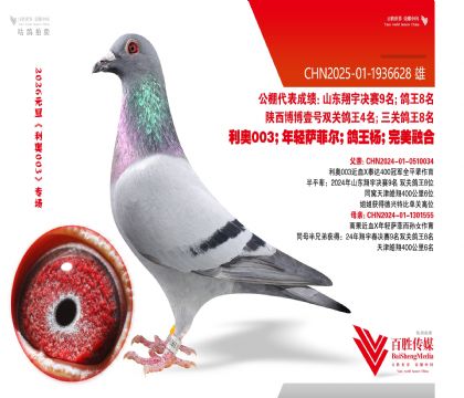 ����9����Ѫ-1936628