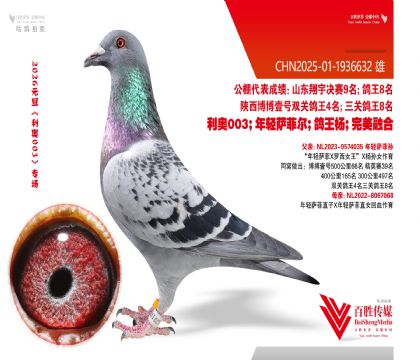 �������ƶ���������-1936632