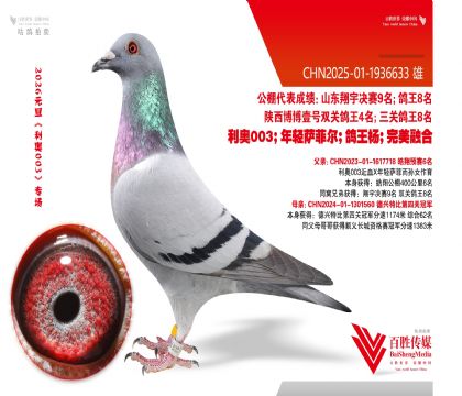 6�����ھ�-1936633