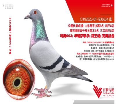 6�����ھ�-1936634