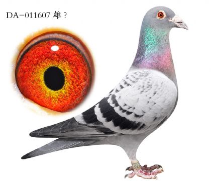 4.���ҷ�����.011607