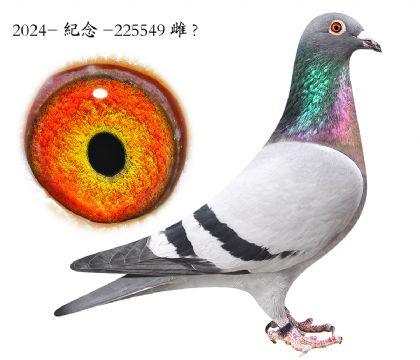 6.�Ǳ�x����ŵ��.225549