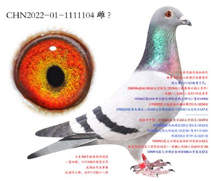 7.����ھ�ֱŮ.1111104