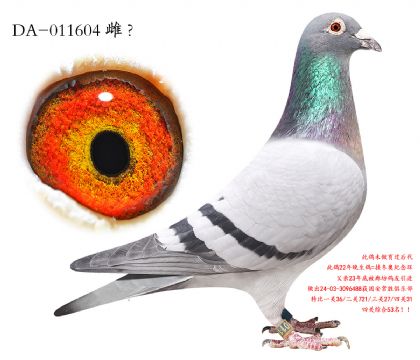 10.�Ѻ�400����ھ�.011604