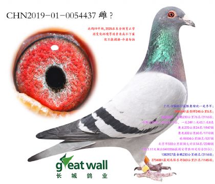 11.��ʱ��911�����Ӵ�.0054437