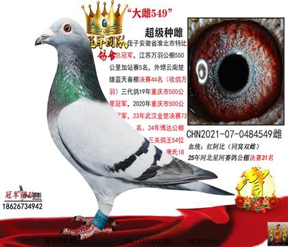 ĸ��һ�찢�ȴ��549