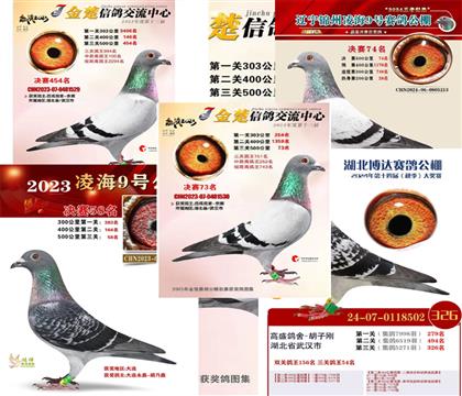 ���岿�ֳɼ�