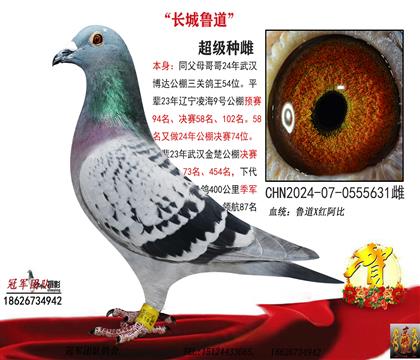 ĸ��һ³���ִƣ�����54ͬ��ĸ��