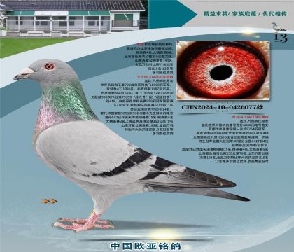 �Ǳ�ԭ�ả����143X�ʼһ�ֱŮ334