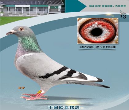 ����ɣ��ʿ061ֱ��486Xĸ��061����