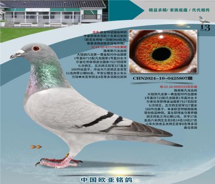 ·��˹����778X����333����