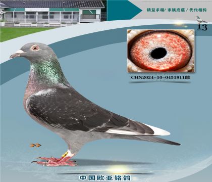 ��˹����ԭ��335X220