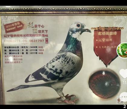 ����ԭʼ��Ƭ