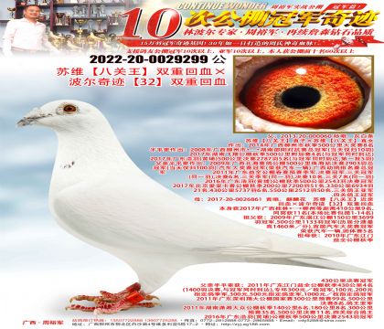 ��ά���˹�����˫�ػ�Ѫ�������漣��32��˫�ػ�Ѫ