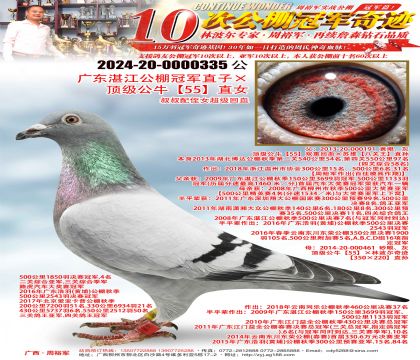 �㶫տ������ھ�ֱ�ӡ�������ţ��55��ֱŮ