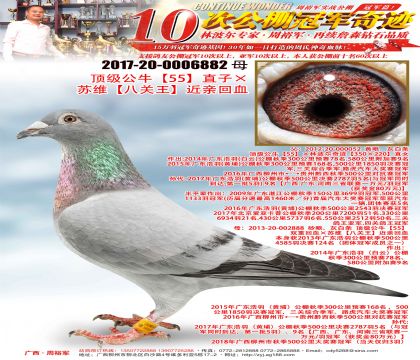 ������ţ��55��ֱ�ӡ���ά���˹��������׻�Ѫ