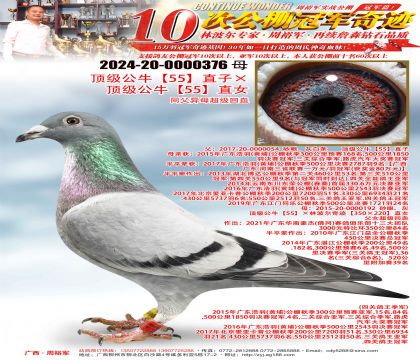 ������ţ��55��ֱ�ӡ�������ţ��55��ֱŮ