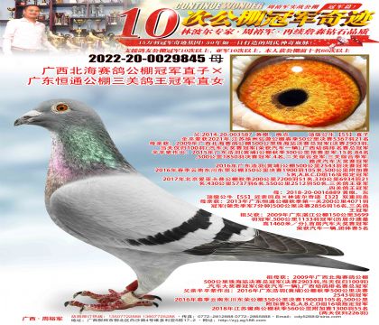 �����������빫��ھ�ֱ�ӡ��㶫��ͨ�������ظ����ھ�ֱŮ