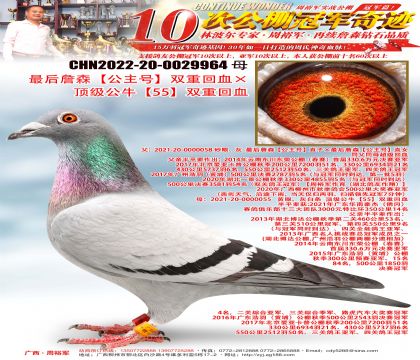 ���ղɭ�������š�˫�ػ�Ѫ��������ţ��55��˫�ػ�Ѫ