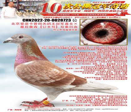 �������ǿ����Ĺظ����ھ�ֱŮ�����ղɭ�������š�˫�ػ�Ѫ