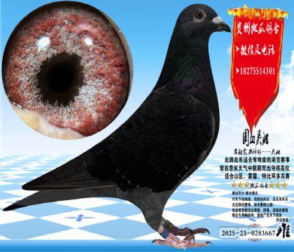 ʵս�����������һ���