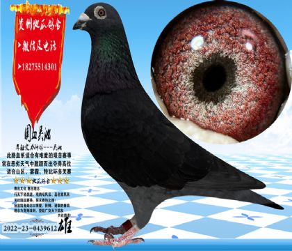 ʵս�������ִ�������һ�����������ֱ��