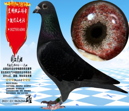 ʵս�������ִ�������һ��ۣ�������ɳ�������߿�