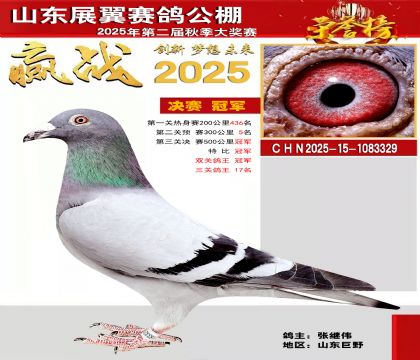 山东展翼决赛冠军