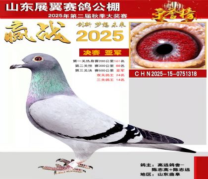 山东展翼决赛亚军