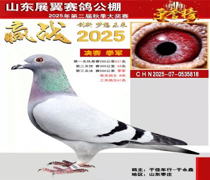 山东展翼决赛季军