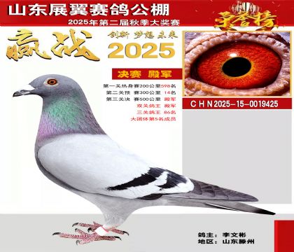 山东展翼决赛4名