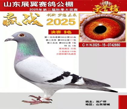 山东展翼决赛9名