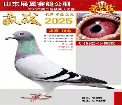 山东展翼决赛10名