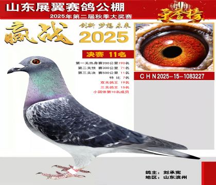 山东展翼决赛11名