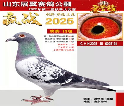 山东展翼决赛13名