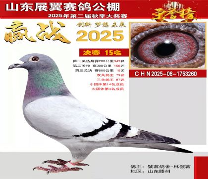 山东展翼决赛15名