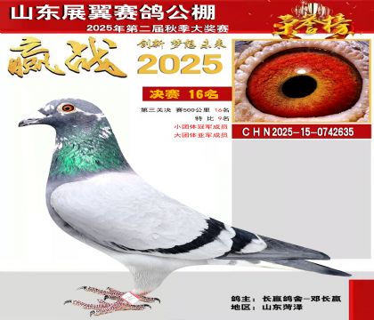 山东展翼决赛16名