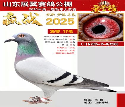 山东展翼决赛17名