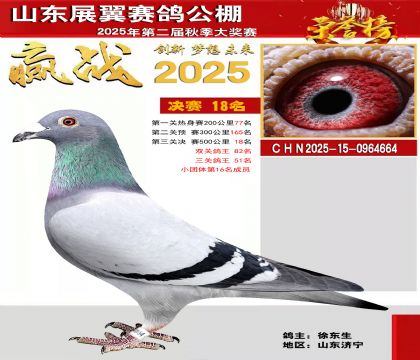 山东展翼决赛18名