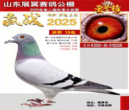 山东展翼决赛19名