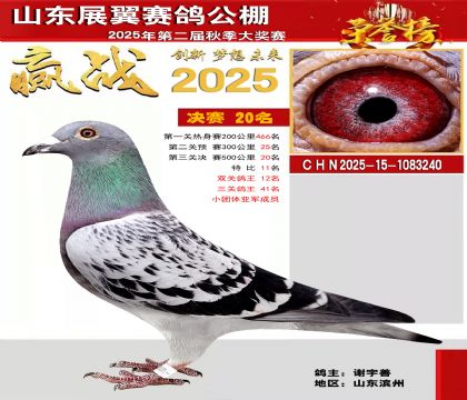 山东展翼决赛20名