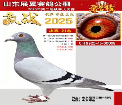 山东展翼决赛21名